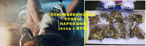 спиды Абаза