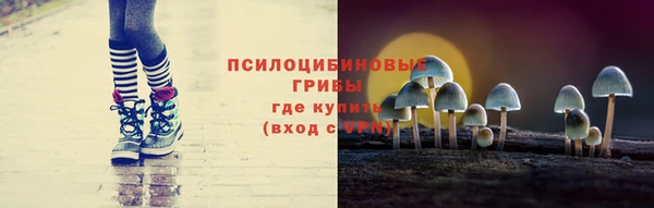гашик Абинск