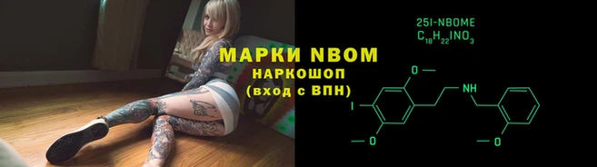 гашик Абинск