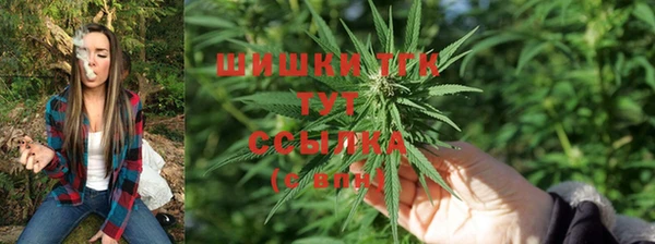 спиды Абаза