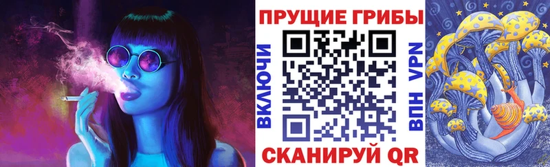 Галлюциногенные грибы Magic Shrooms  купить   Братск 