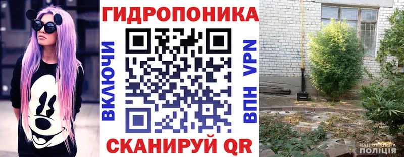 Канабис конопля  Братск 